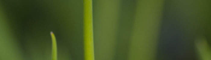 pic03